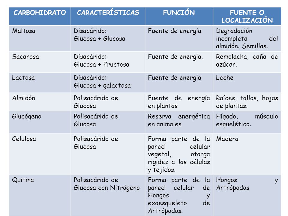 Funcion de la fructosa en la celula